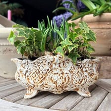 A decorative jardinière containing a plant
