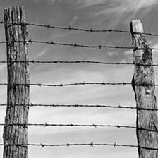 A close-up of sharp barbed wire stretched along a fence.