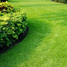 A maintained grassy lawn beside a residence.