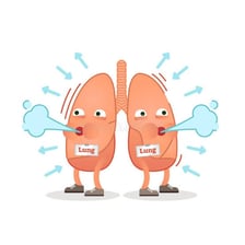 An educational illustration showing air entering the lungs during inhalation.