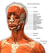 An educational illustration showing an involuntary facial twitch.