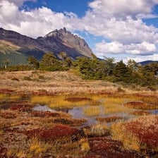 A rugged Tierra del Fuego landscape with mountains and water