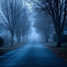 A misty street on a cold, damp day