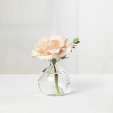 A flower bud standing in a small vase.