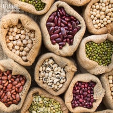 Assorted beans, which are legume seeds