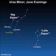 A star chart showing the Ursa Minor constellation.
