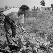 A worker engaged in a professional vocation.