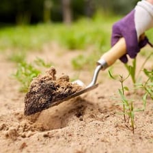 A gardener using a hand trowel to dig in soil.