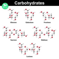 Educational diagrams of common sugars such as glucose and fructose.