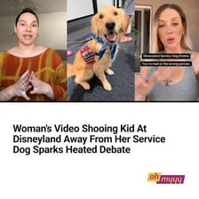 Person gesturing for an animal to go away