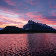 A bright sunrise landscape suggesting an optimistic outlook