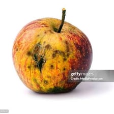 Rotten food presented as something loathsome