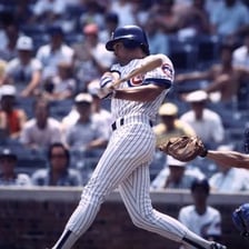 Ryne Sandberg in his baseball career