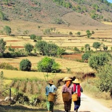 A traveler walking along an open rural path.