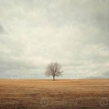 A solitary tree standing alone in a field