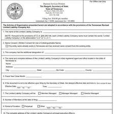 Business document representing a limited liability company