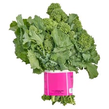 A bunch of fresh broccoli rabe with leafy stems and small florets.