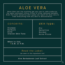 Aloe vera plant beside its clear gel, a common skincare ingredient
