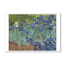 Vincent van Gogh’s painting “Irises”