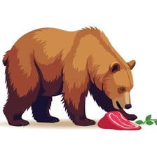 An educational illustration contrasting plant and animal foods eaten by an omnivore