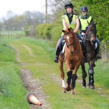 A horse recoiling or shying away from an object