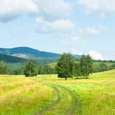 A broad green meadow in a rural landscape
