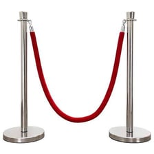 Important guests arriving at a red-carpet event