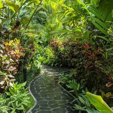 A tropical landscape in Costa Rica