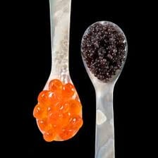 Sturgeon roe displayed as fish eggs or caviar