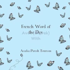 A simple educational display showing the French word “avec” and its English meaning “with”.
