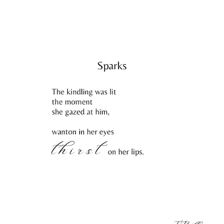 Bright sparks catching on a small bundle of kindling