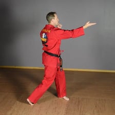 A martial artist demonstrating a karate chop.