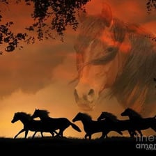 Horses running energetically