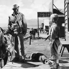 Alan Ladd portraying Shane in the 1953 Western film.