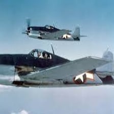 A Grumman F6F Hellcat fighter aircraft.
