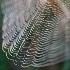 A spider web stretched between natural surfaces