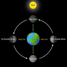 Educational illustration showing the small tidal range of a neap tide