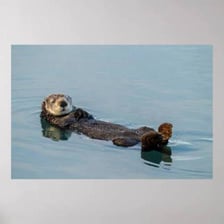 A sea otter floating in coastal ocean water
