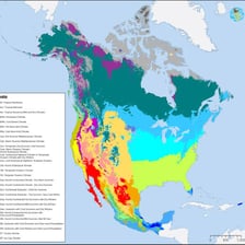 A map divided into distinct geographical zones