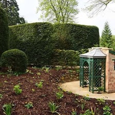 A traditional small outdoor privy.