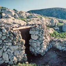 Sheep gathered inside a simple sheepfold enclosure.