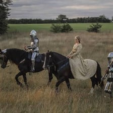 A medieval squire accompanying a noblewoman.