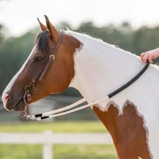 A rider holding the reins attached to a horse's bridle.