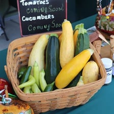 Fresh squash vegetables displayed together.