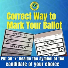 A ballot paper showing a vote marked with an X.