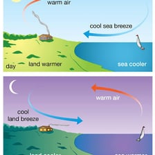 Wind moving inland from the sea across a beach.