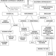 A simple organisational diagram showing a church divided into branches.