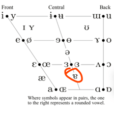 A word-construction diagram showing O inserted into R, followed by OST.