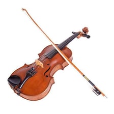 A viola, the stringed musical instrument used as the wordplay fodder.