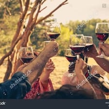 People raising glasses in a celebratory toast.
